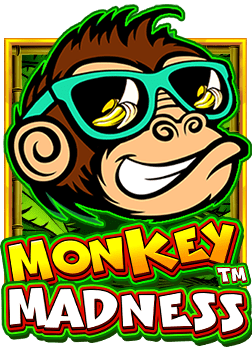 รู้จักกับ ib888 slot เครดิต ฟรี วิธีเล่นและทำเงิน